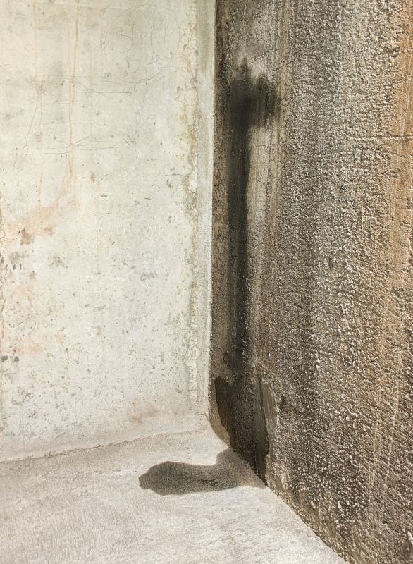 Wet Basement Repair in Fort Wayne, IN